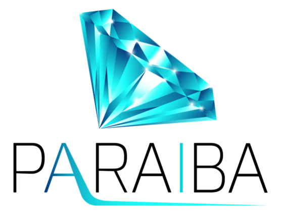 PARAIBA.WORLD LOGO